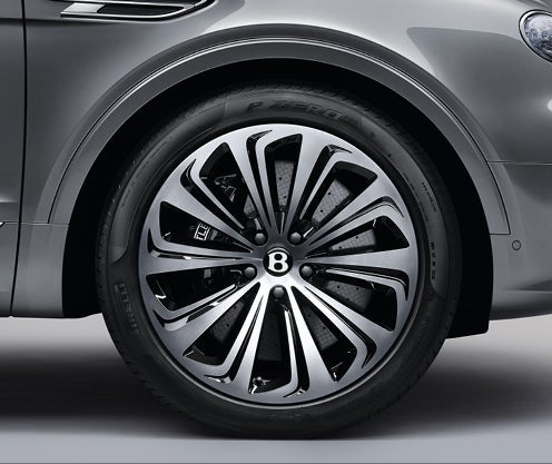 Auto rim and tire polished